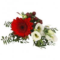 Handbukett i rött och vitt med röd germini - Handblommor - Skicka begravningsblommor %city%