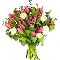Rosa Tulpaner - Buketter - Skicka blommor %city%